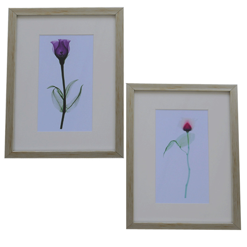 de 2 Tableaux De Décoration Fleures 30 x 20 cm