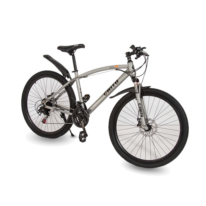 Bicyclette VTT CHITU 26" GT-JG-02-G 21 Vitesses â Gris - CHITU