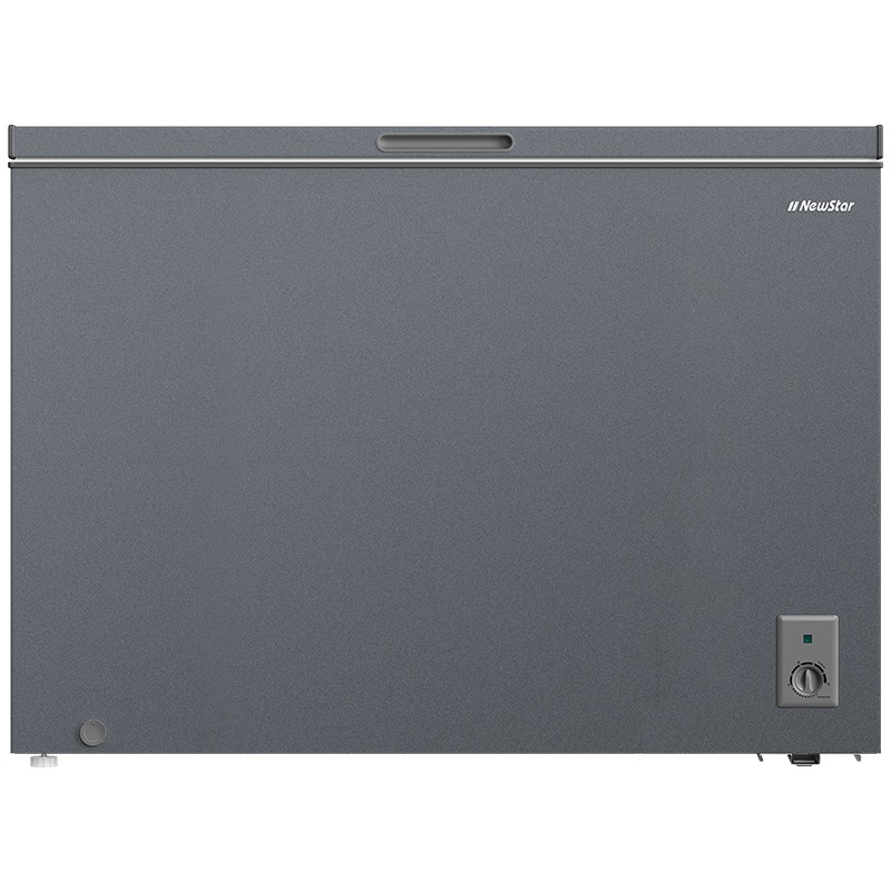Congélateur Horizontal NEWSTAR CG340S 340 Litres - Silver - NEWSTAR