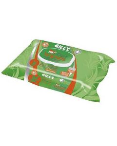Lingette Nettoyantes ALOE VERA 40 Pcs