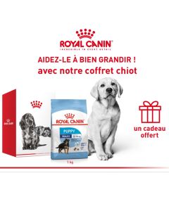 Kit De Recrutement ROYAL CANIN Chien Maxi Puppy 1 kg 