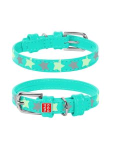 Collier GALMOUR STAR Pour Chien 19-25Cm - Vert-Menthe