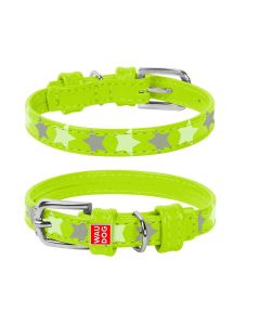 Collier GALMOUR STAR Pour Chien 19-25Cm - Vert