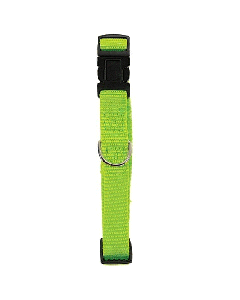 Collier Nylon Pour Chiens 10 mm - Vert Citron