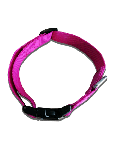 Collier Nylon Pour Chiens 10 mm - Fuchsia