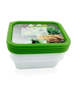 Pack De 4 Boites à Congélation ROTHO 0.5L - Blanc&Vert