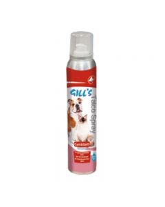 Déodorant Talc Groci Gill's 250 ml