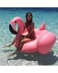 Bouée Gonflable Flamingo Pool 80