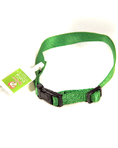 Collier Nylon Pour Chiens 19 mm - Vert