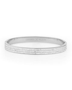 Bracelet Femme DANIEL KLEIN - Silver (DKJ-2-2080-1)