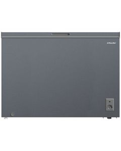 Congélateur Horizontal NEWSTAR CG340S 340L DeFrost - Silver