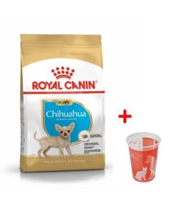 Croquettes Royal Canin Chihuahua Puppy 500g