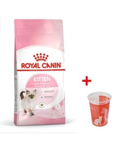 Croquettes Royal Canin Kitten 400g Croissance Chaton