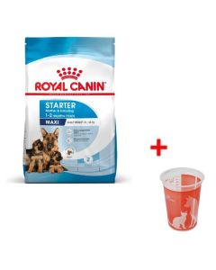 Croquettes Royal Canin 3182550778770 Maxi Starter - 4 kg