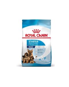 Croquettes Royal Canin 3182550778770 Maxi Starter - 4 kg
