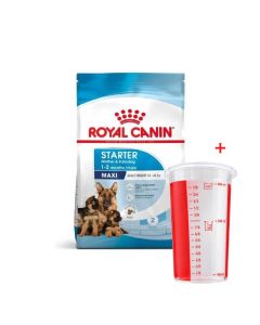 Croquettes Royal Canin 3182550778770 Maxi Starter - 4 kg