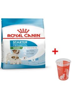 Croquettes Royal Canin Mini Starter Mère & Chiot - 3182550778657