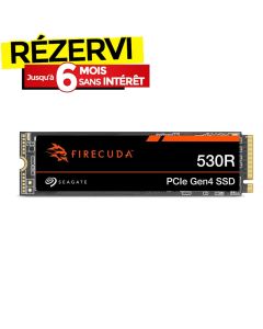 Disque Dur Interne SEAGATE FireCuda 530R SSD 1TB  M.2 NVME Gen4x4 