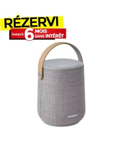 Enceinte Bluetooth Portable HARMAN KARDON Citation 200 - Gris