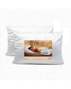 Ensemble de 2 Oreillers CHIC AND IN BU-CHIC-OREILLER 70x50CM
