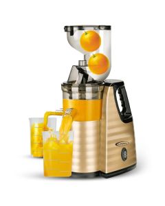 Extracteur De Jus FLORENCE HK-423 300W - Gold