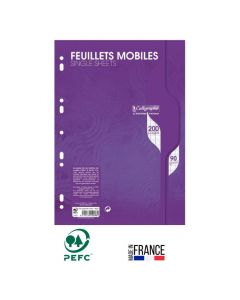 Feuille Mobile CALLIGRAPHE Perforées Seyès 200 Pages A4 90G 