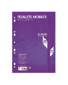 Feuille Mobile CALLIGRAPHE Perforées Seyès 200 Pages A4 90G S/Film