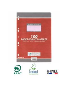  Feuillets mobiles CONQUERANT Perforée A4 100 Pages 90G 5/5