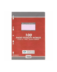  Feuillets mobiles CONQUERANT Perforée A4 100 Pages 90G 5/5