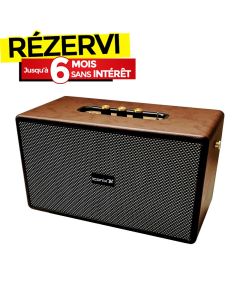 Haut-parleur Sans Fil ICONIX DELTA 01 - Marron