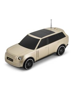 Haut-Parleur Bluetooth Kisonli B3 10W USB 1800mAh Gold