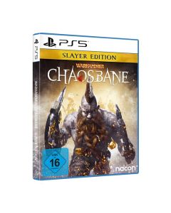 Jeux PS5 SONY Chaosbane Slayer Edition