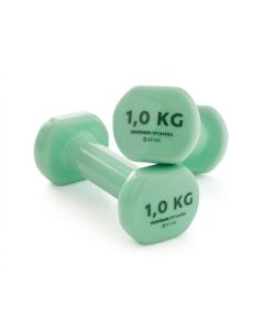 Kit de 2 Haltères 2x1kg pour musculation 14x6.1x5.3cm - Vert