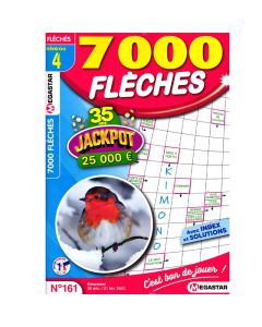 Magazine 7000 Flèches 