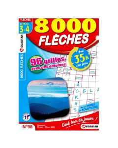 Magazine Megastar 8000 FLÉCHÉS Niveau 3/4