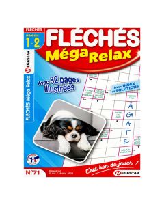 Magazine Sport Cérébral Fléchés Méga Relax Niveau 1/2