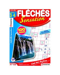 Magazine Megastar FLÉCHÉS Sensation Niveau 3/4 