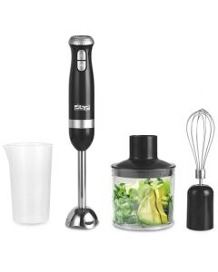 Mixeur Plongeant DSP KM1139 Pied Inox 500W Turbo - Blanc