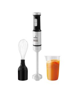 Mixeur Plongeant 3 en 1 LEXICAL LHB-1665 - 1000W Blanc