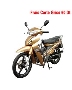 Moto ZIMOTA Partner 109cc - Gold