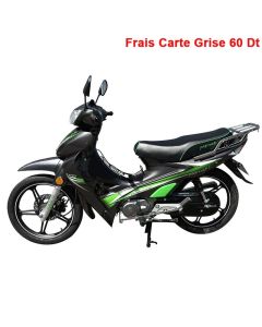 Moto ZIMOTA Partner 109cc - Gris&Vert