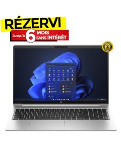 Pc Portable HP ProBook 450 G10 i7 13ème Gén 16Go 1To SSD - Silver