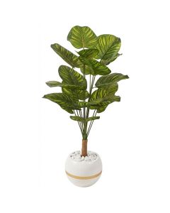 Plante Artificielle Calathéa Ornata Pot Céramique