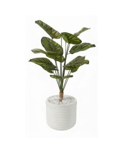 Plante Artificielle Calathéa Pot Céramique Déco