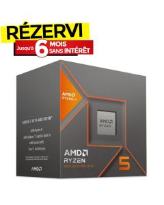Processeur AMD Ryzen 5 8600G
