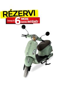 Scooter Électrique WOLF VERO 1000 Watts - Vert Clair