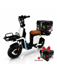 Scooter Electrique M2 RIDE Legend  - Noir Et Blanc 