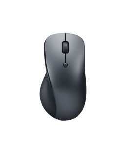 Lenovo Professionnelle Gris