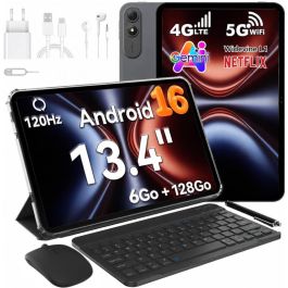 Tablette OSCAL PAD 200 13.4" Wi-Fi 4G LTE - Gris