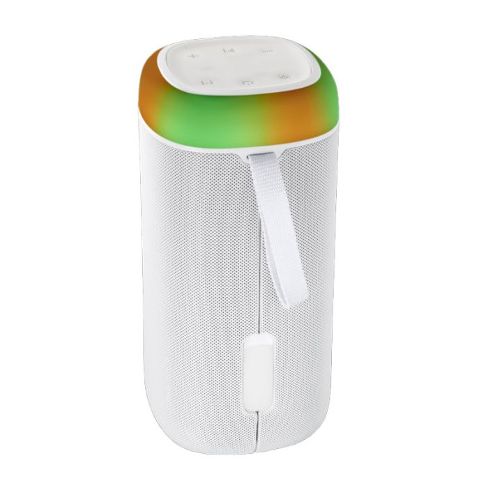 Enceinte Sans Fil HAMA 